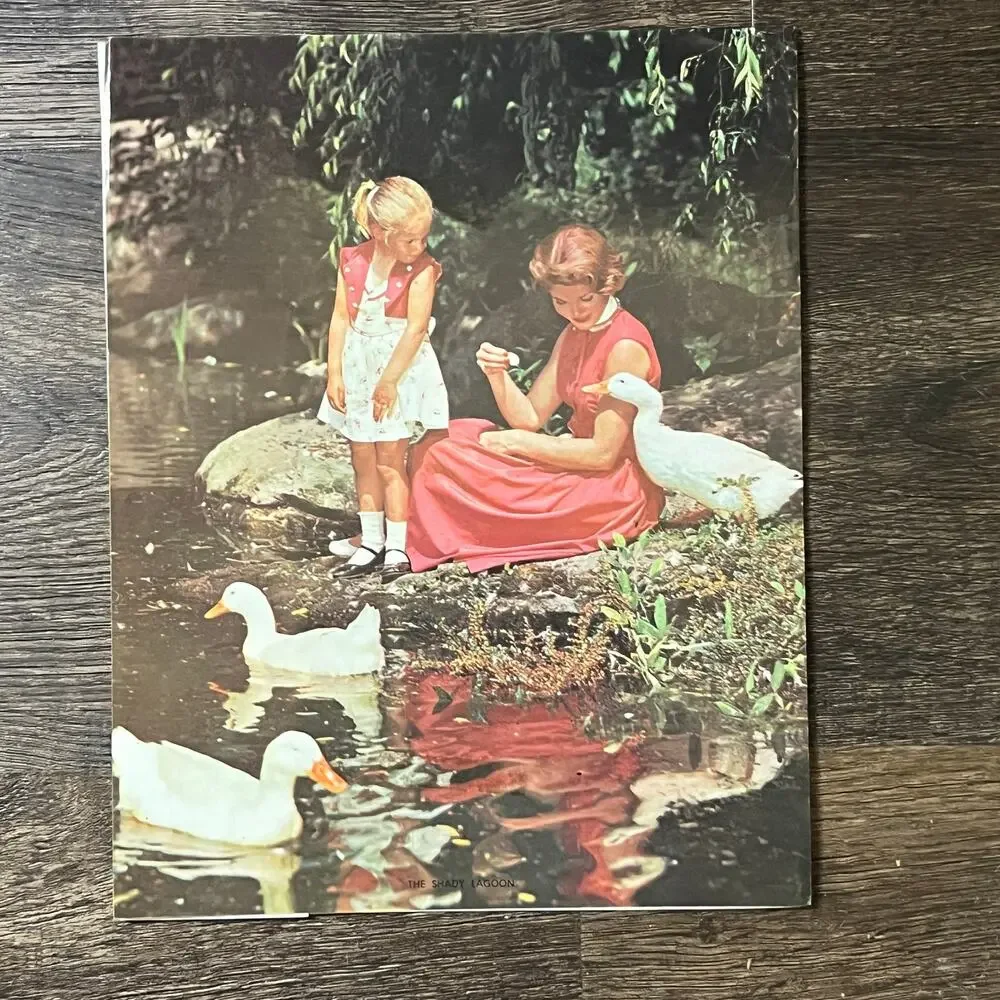 1950s Kitsch The Shady Lagoon Girl Feeding Geese 8x10 Art Print V2-1 - Picture 2 of 2